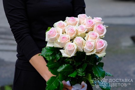 Букет из 15 розовых роз "Свит Ревайвл"